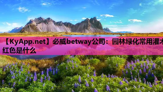 必威betway公司：园林绿化常用灌木红色是什么