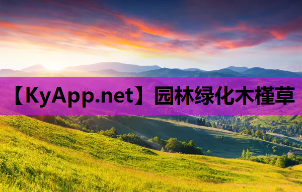 园林绿化木槿草