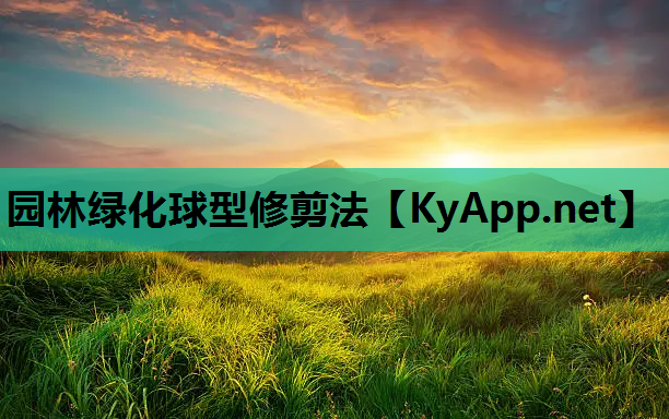 园林绿化球型修剪法