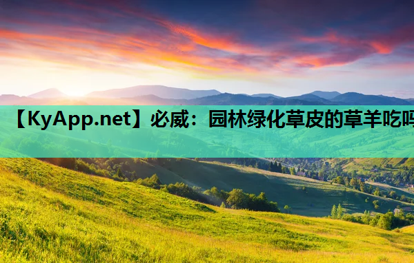 必威：园林绿化草皮的草羊吃吗