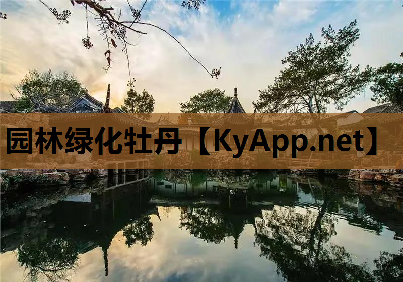 园林绿化牡丹