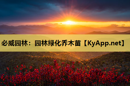 必威园林：园林绿化乔木苗