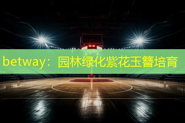 园林绿化紫花玉簪培育