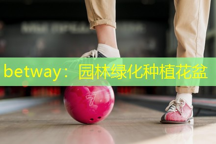 园林绿化种植花盆