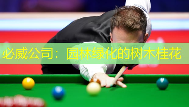 园林绿化的树木桂花