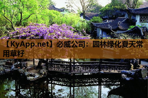 园林绿化夏天常用草籽