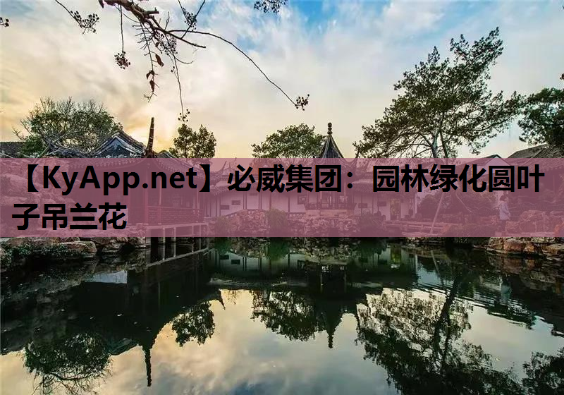 园林绿化圆叶子吊兰花