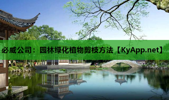 园林绿化植物剪枝方法