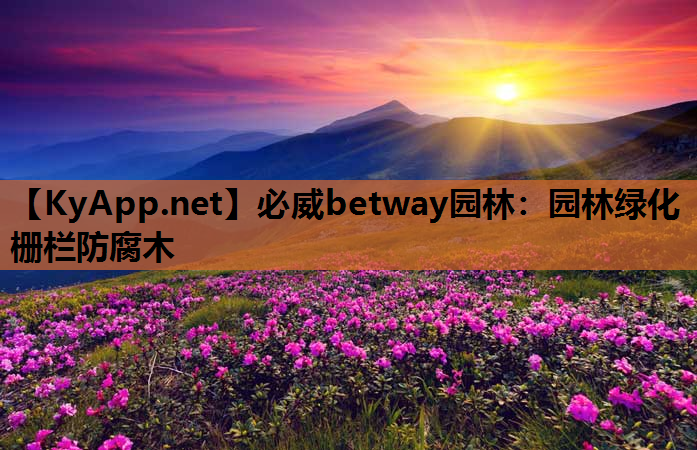 园林绿化栅栏防腐木