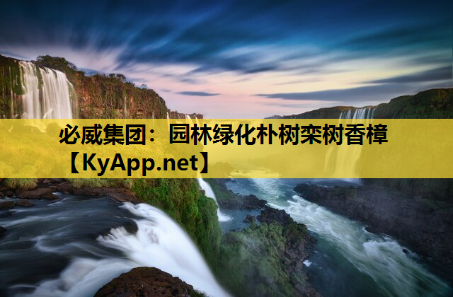 园林绿化朴树栾树香樟