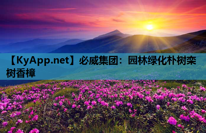 园林绿化朴树栾树香樟