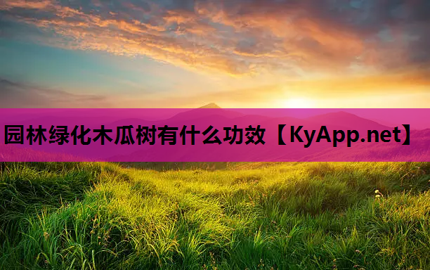 园林绿化木瓜树有什么功效
