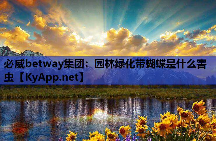 园林绿化带蝴蝶是什么害虫