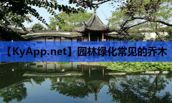 园林绿化常见的乔木