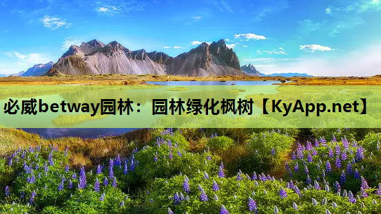 园林绿化枫树