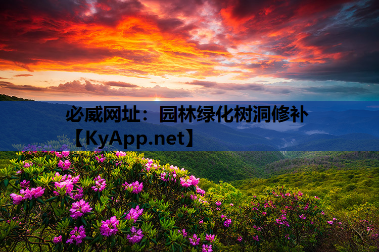 园林绿化树洞修补
