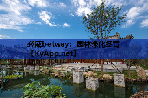园林绿化冬青