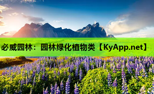 园林绿化植物类