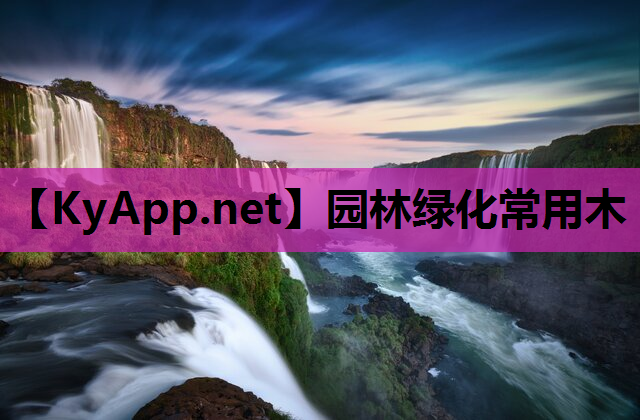 园林绿化常用木