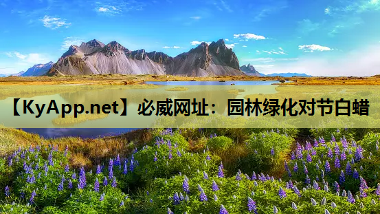 园林绿化对节白蜡