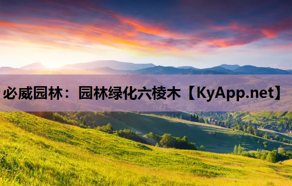 园林绿化六棱木