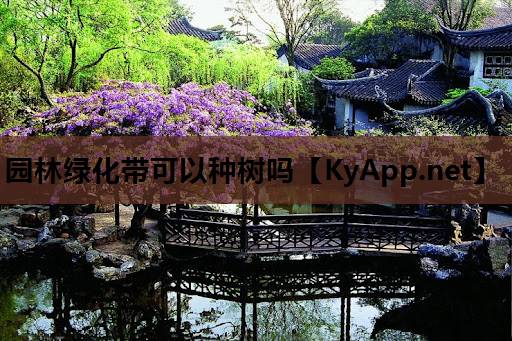 园林绿化带可以种树吗