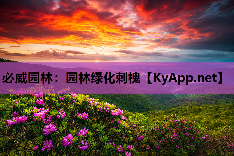 园林绿化刺槐