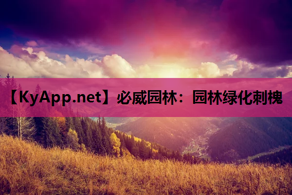 园林绿化刺槐