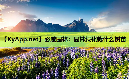 园林绿化栽什么树苗