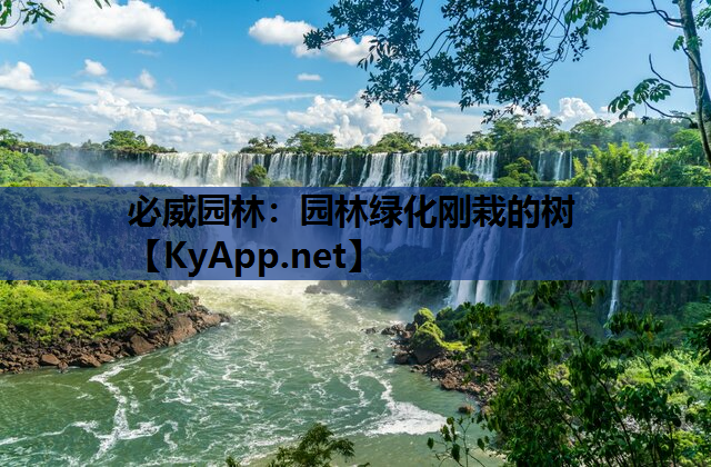 园林绿化刚栽的树