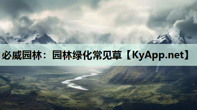 园林绿化常见草