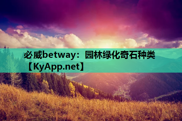 园林绿化奇石种类