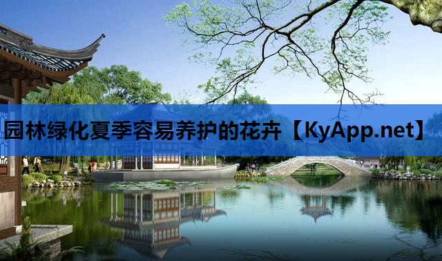 园林绿化夏季容易养护的花卉
