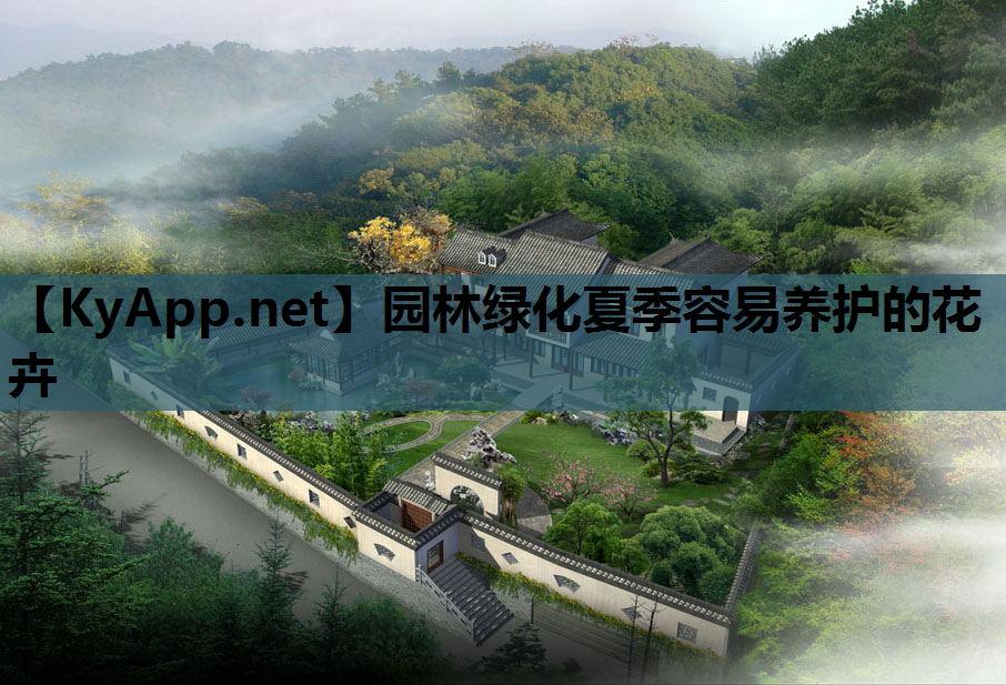 园林绿化夏季容易养护的花卉