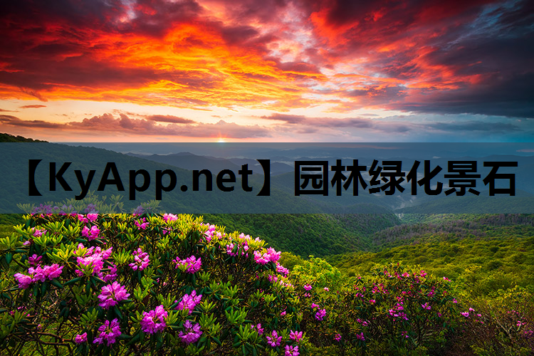 园林绿化景石