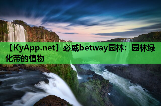园林绿化带的植物
