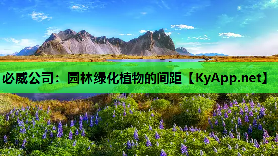 园林绿化植物的间距