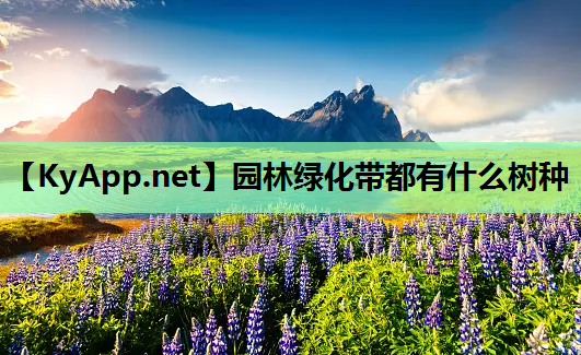 园林绿化带都有什么树种