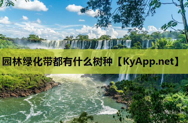 园林绿化带都有什么树种