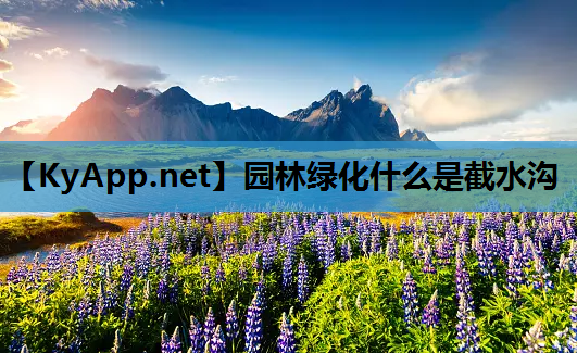 园林绿化什么是截水沟