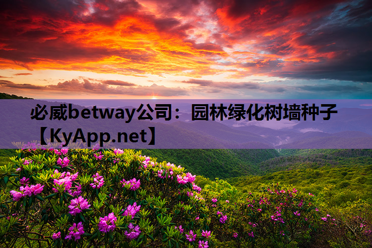 园林绿化树墙种子