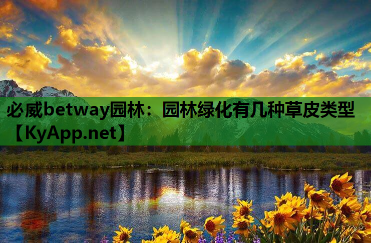 园林绿化有几种草皮类型