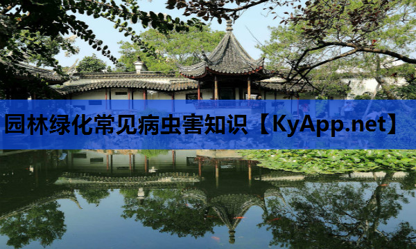 园林绿化常见病虫害知识