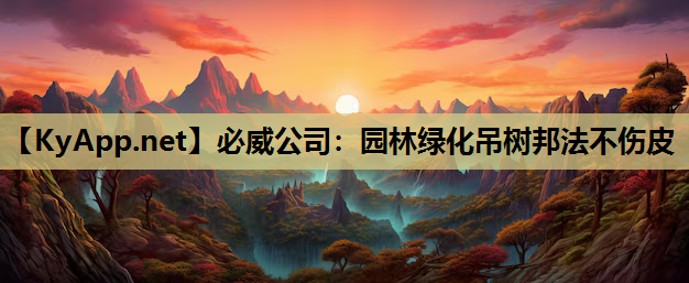 园林绿化吊树邦法不伤皮