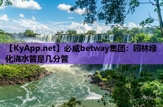 园林绿化浇水管是几分管