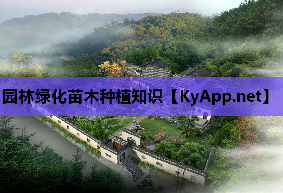 园林绿化苗木种植知识