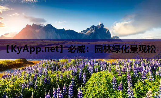 园林绿化景观松