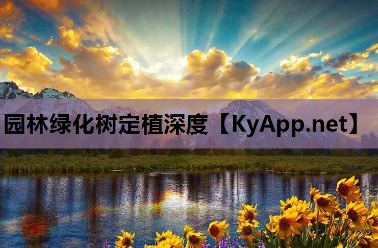 园林绿化树定植深度