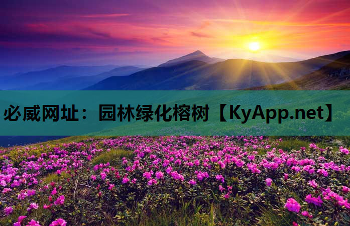 园林绿化榕树