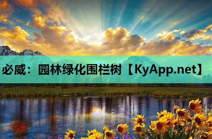 园林绿化围栏树